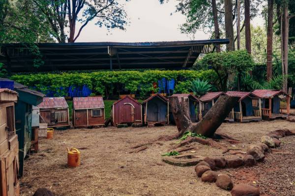 Our Green Home